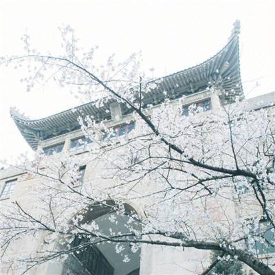 上海：智慧校园未来发展高峰论坛在立达学院举行